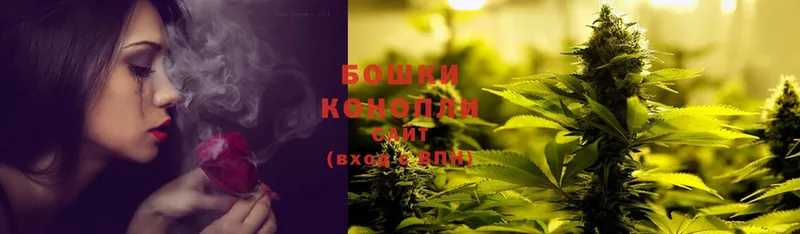 Каннабис White Widow  Аша 